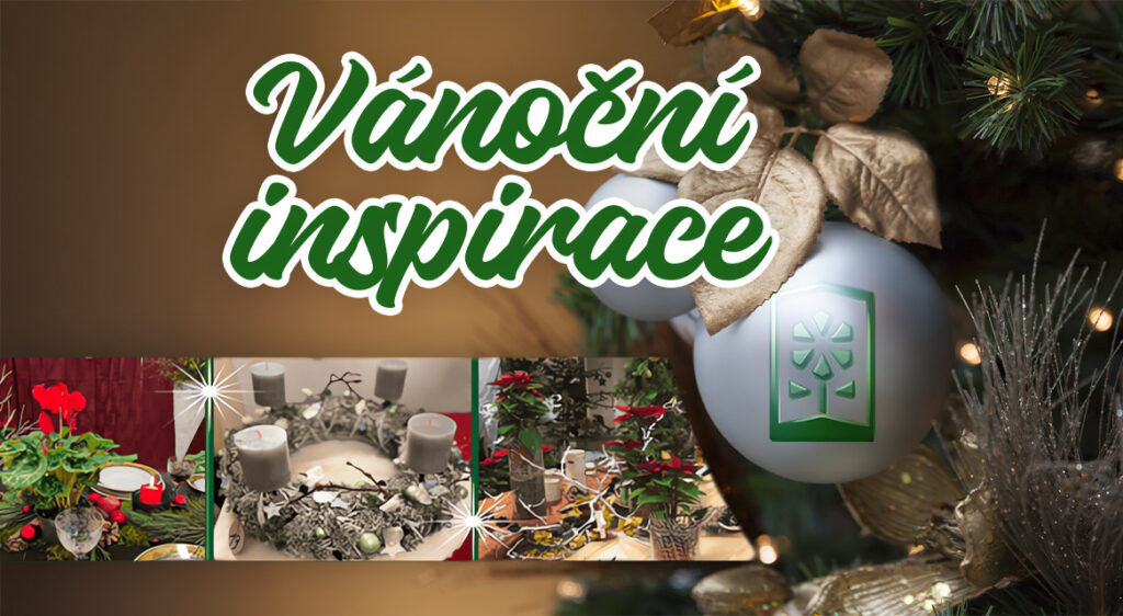 Objevte kouzlo Vánoc!